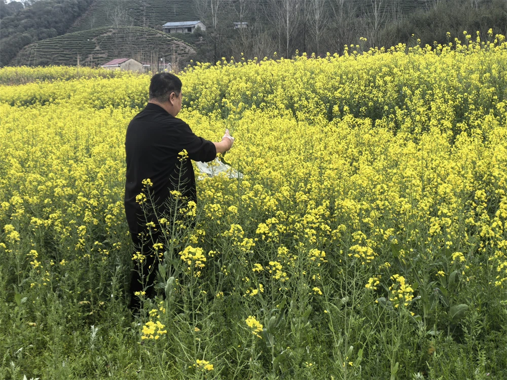 深化合作·共鉴品质 深化合作·共鉴品质