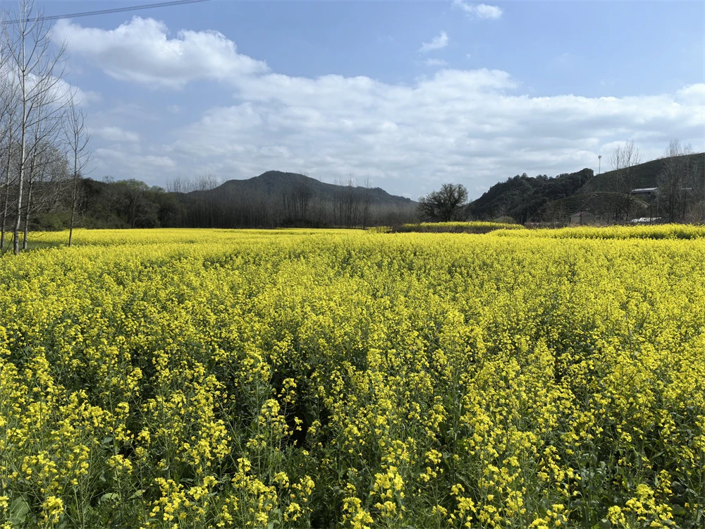 深化合作·共鉴品质 深化合作·共鉴品质